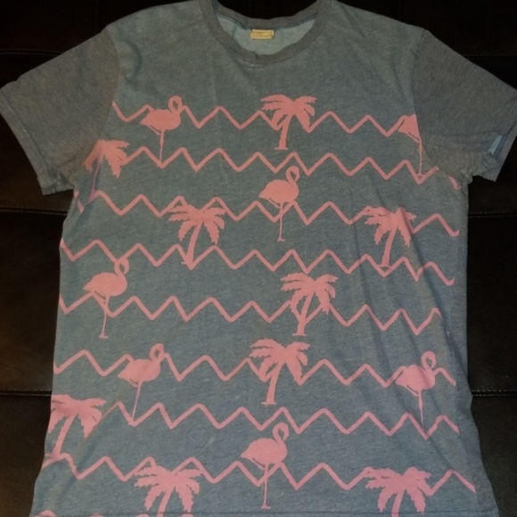 Hollister Other - Short sleeve tshirt